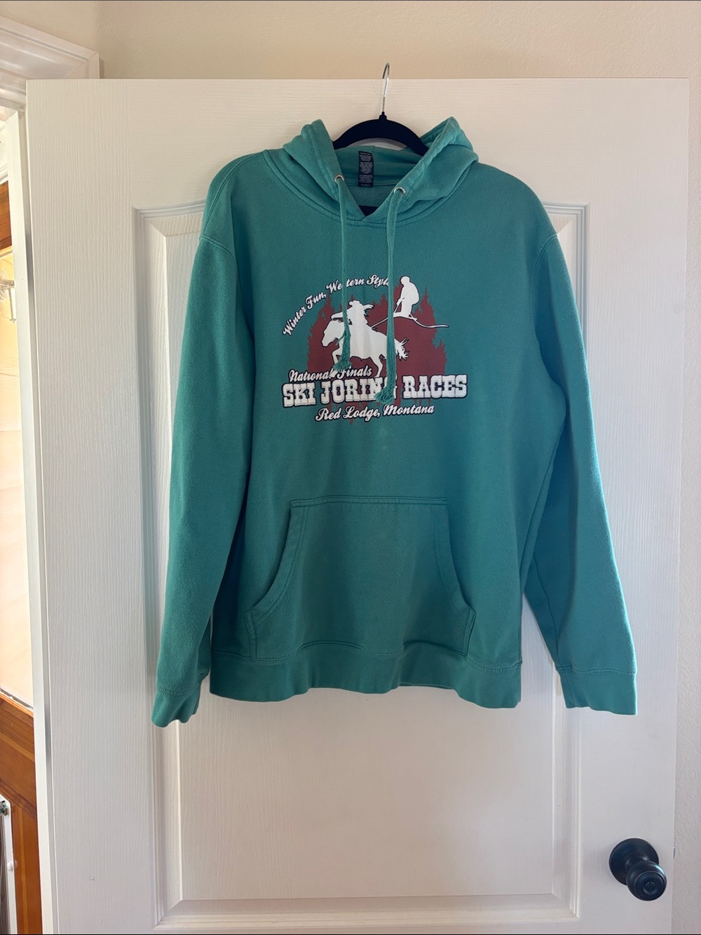 District teal green pullover hoodie with ski graphic